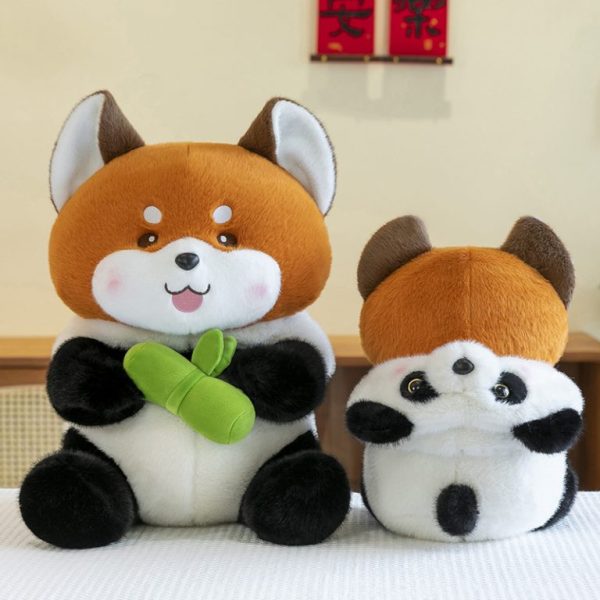 CHÓ NÂU LỐP PANDA - Hình ảnh 3