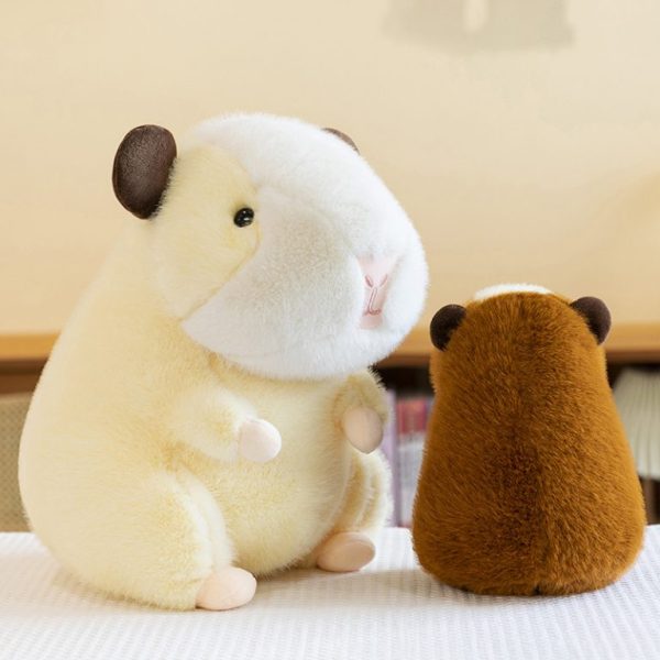 CHUỘT HAMSTER 2 MÀU - Hình ảnh 2
