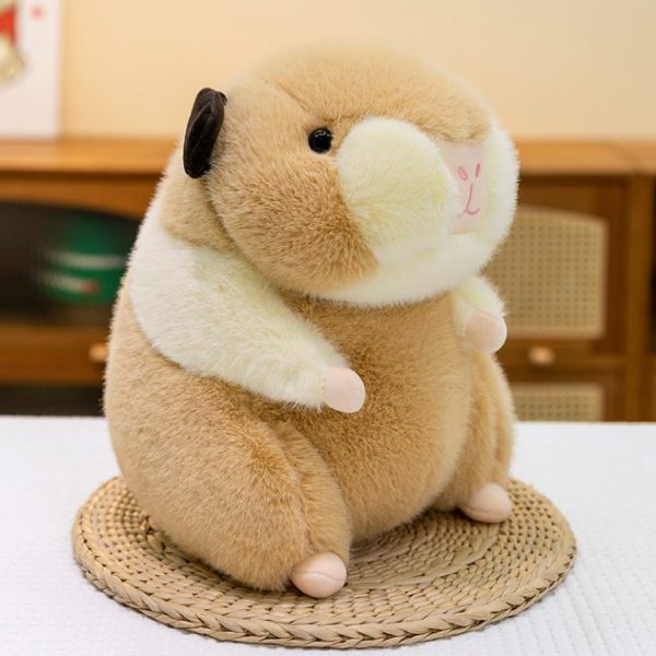 CHUỘT HAMSTER 2 MÀU - Hình ảnh 3
