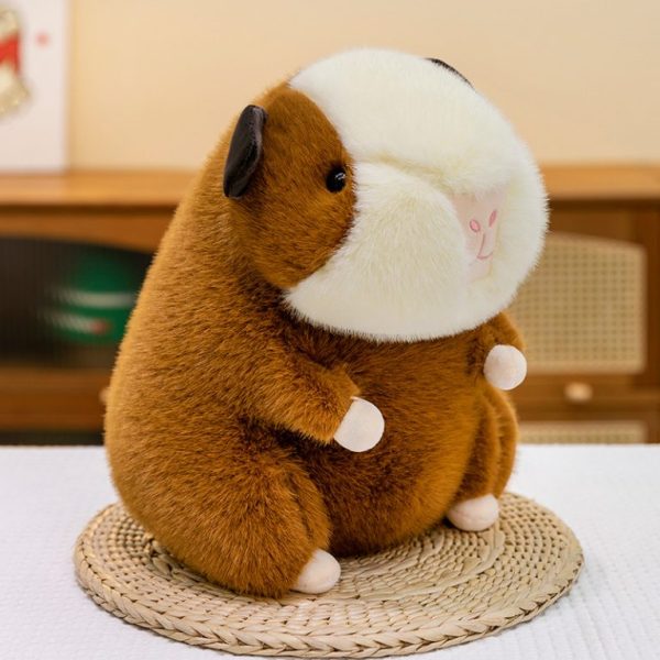 CHUỘT HAMSTER 2 MÀU - Hình ảnh 4