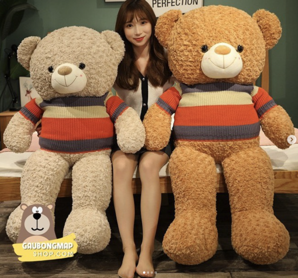 TEDDY NÂU ÁO SỌC TÍM ĐỎ VÀNG - Hình ảnh 2