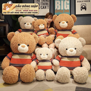 TEDDY NÂU ÁO SỌC TÍM ĐỎ VÀNG