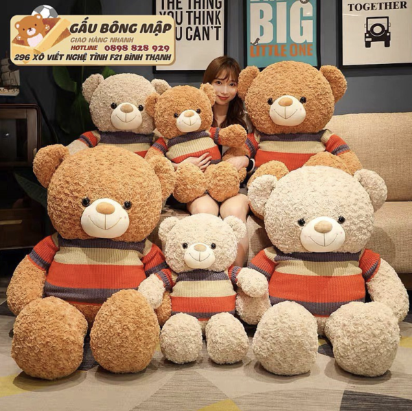 TEDDY NÂU ÁO SỌC TÍM ĐỎ VÀNG