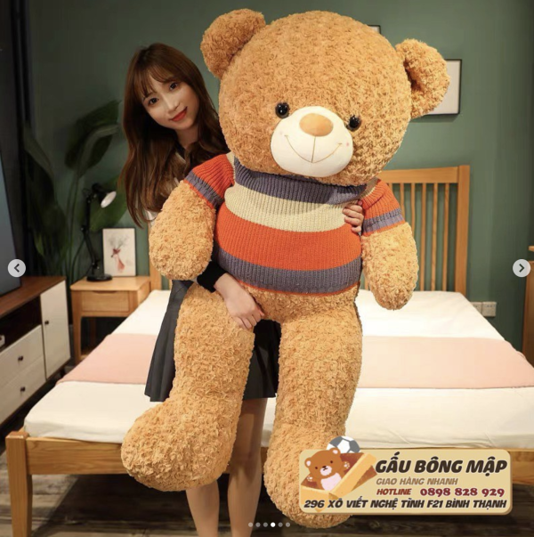 TEDDY NÂU ÁO SỌC TÍM ĐỎ VÀNG - Hình ảnh 7