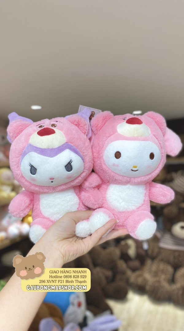 MINI MÈO LỐP GẤU DÂU - Hình ảnh 2